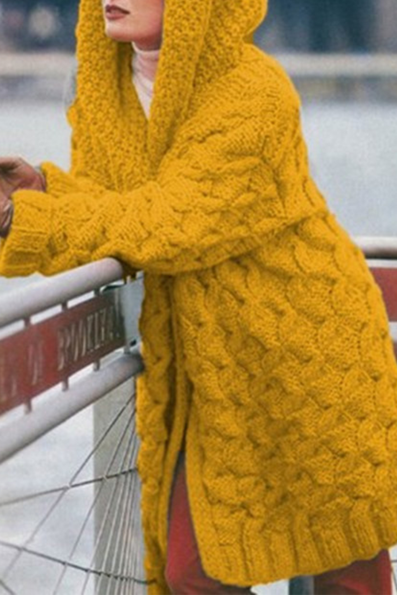 Casual & Stylish Classic Solid Split Joint Hooded Collar Tops