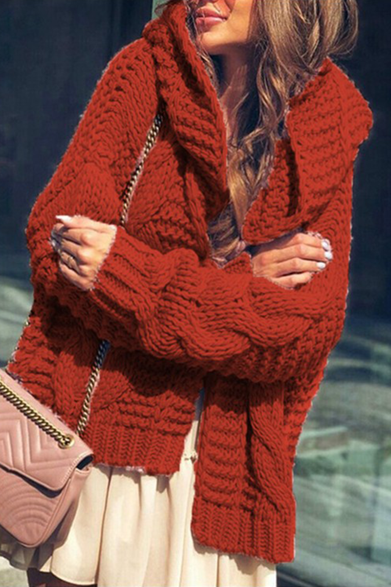 Casual & Stylish Classic Solid Split Joint Hooded Collar Tops