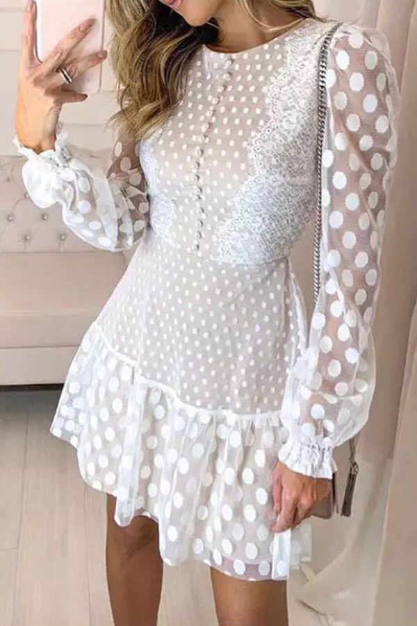 Elegant & Stylish Polka Dot Lace Flounce O Neck Waist Skirt Dresses