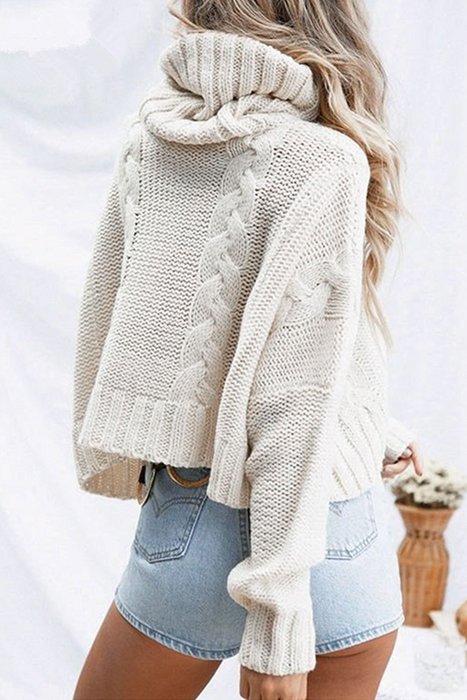 Fashion Casual & Stylish Classic Solid Split Joint Turtleneck Tops Sweater
