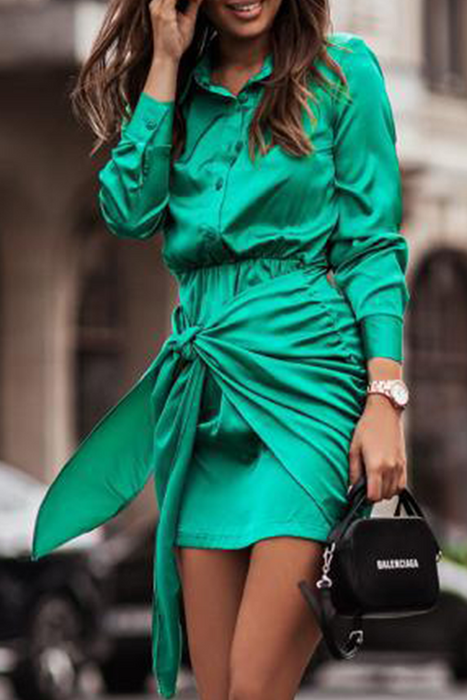 Fashion Elegant & Stylish Print Buckle Strap Design Turndown Collar Waist Skirt Dresses