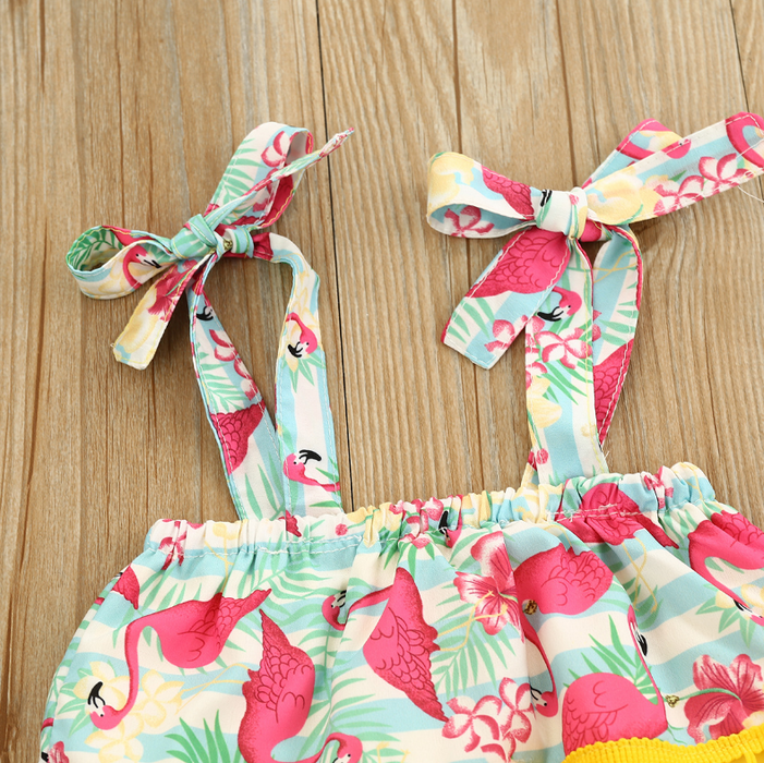 Baby Girl Sweet Flamingo Top and Shorts Set