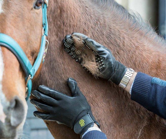 Handschoenen voor paardenverzorging