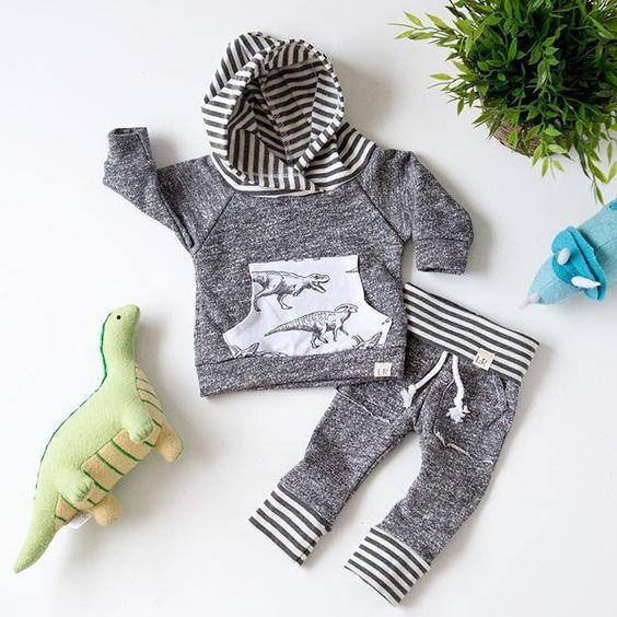 Toddler/Baby Dinosaur Long Sleeve Hoodie Top and Pants Set