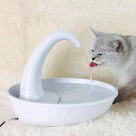 SWAN Gezuiverde stromende fontein Cat automatische waterdispenser