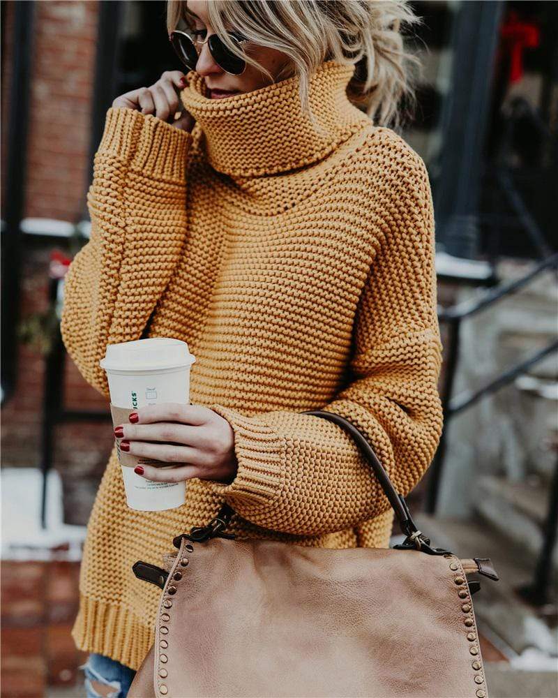 Knit Turtleneck Pullover Sweater