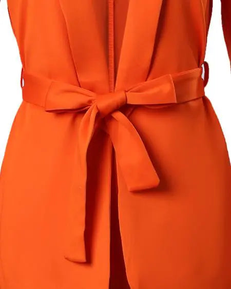 Puff Sleeve Blazer & Pants with Shawl Collar & Belt