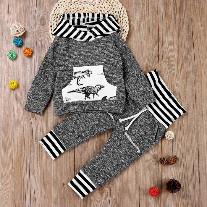 Toddler/Baby Dinosaur Long Sleeve Hoodie Top and Pants Set