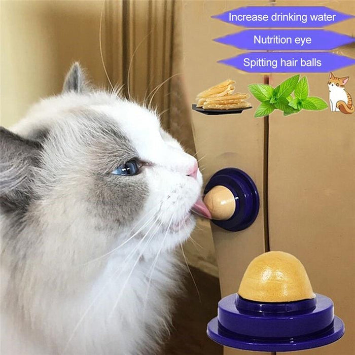 Cat Nutrition Energy Ball