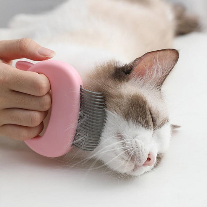 Peine de concha para masaje de depilación de mascotas 